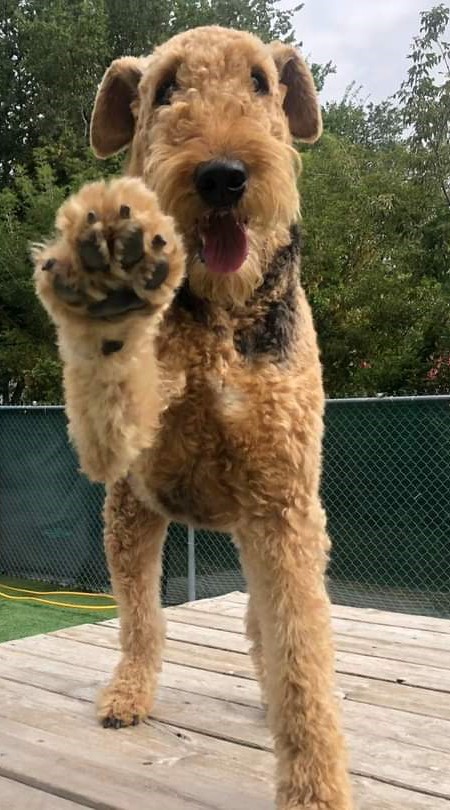 clickable image</a>
                                                                        
</body>
    </html>
    </div style=